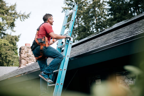 Best Roof Coating and Sealing  in Rio Dell, CA
